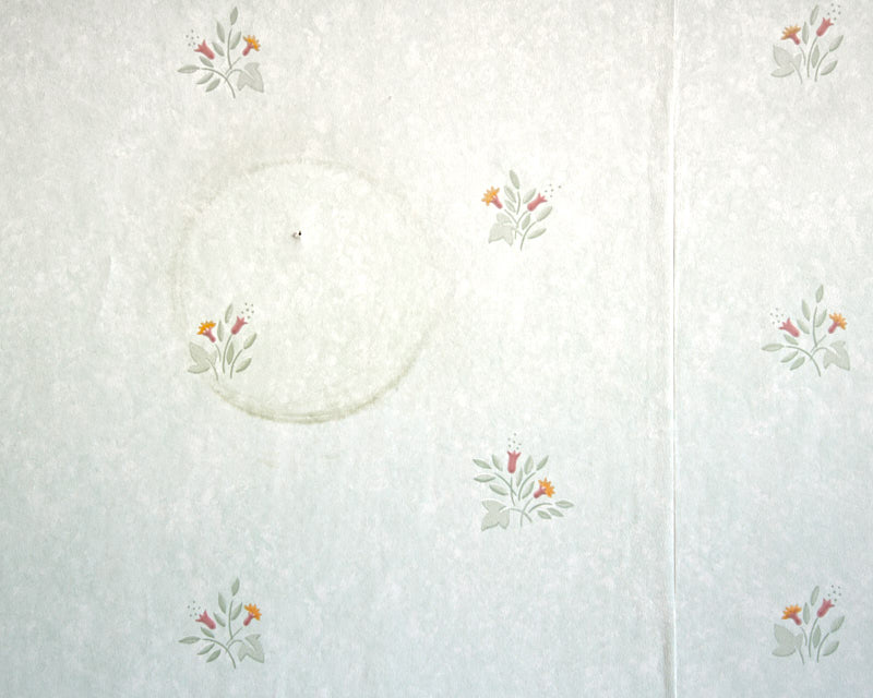 Husets poesi a book on old wallpapers